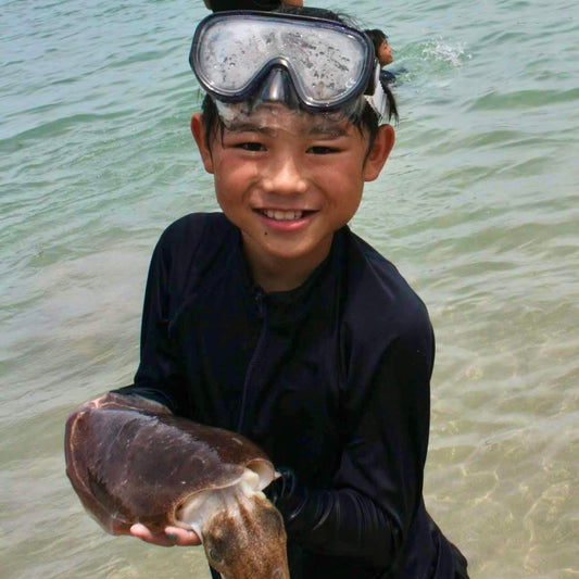 小学生の大束良明がコウイカを手づかみで捉えて海辺で写真を撮った画像"